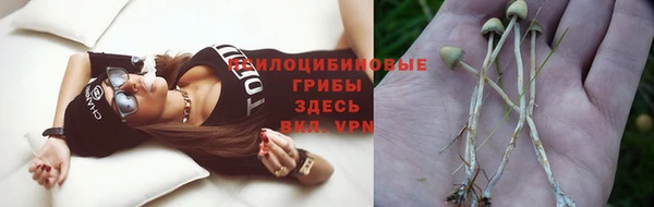 круглые Аркадак
