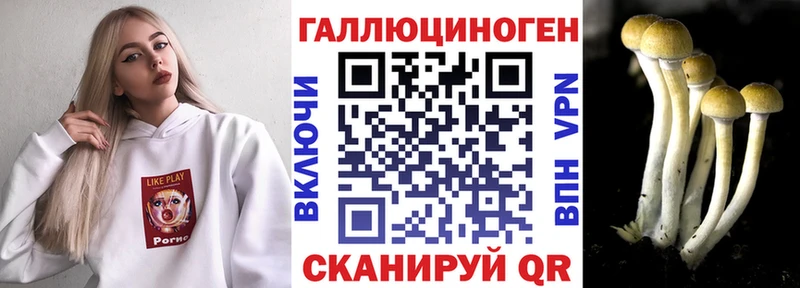 Псилоцибиновые грибы прущие грибы  Кирово-Чепецк 