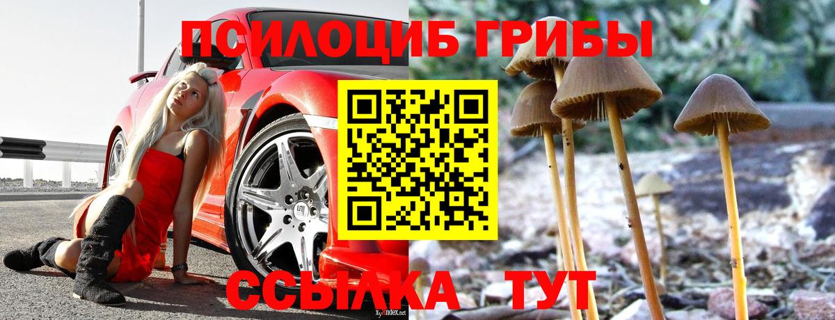 Кирово-Чепецк  Галлюциногенные грибы Psilocybine cubensis  Вход с VPN 