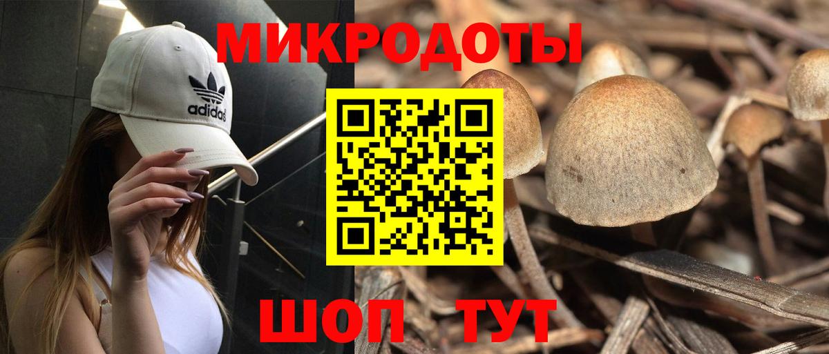 Псилоцибиновые грибы MAGIC MUSHROOMS Кирово-Чепецк
