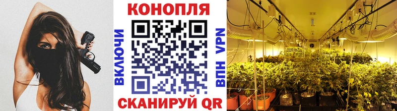 Каннабис VHQ  купить наркоту  Кирово-Чепецк 