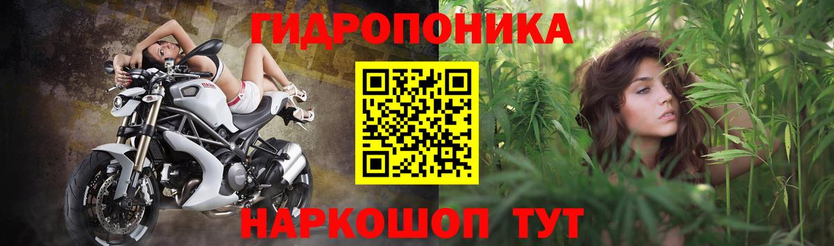 Каннабис Ganja  Вход с VPN  Бошки марихуана план  Кирово-Чепецк  Марихуана Bruce Banner 